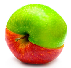 tseloe